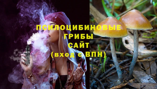 дурь Аркадак
