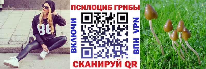 Псилоцибиновые грибы прущие грибы  MEGA ССЫЛКА  Светлоград 